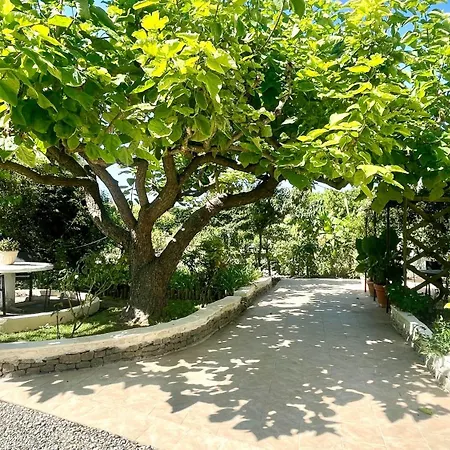 Rendez-vous Au Soleil De Provence - 4 Personnes 80m2 - Coin Jardin - Climatisation *